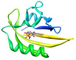 FMN-binding fluorescent proteins httpsuploadwikimediaorgwikipediacommonsthu