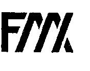FMX (broadcasting)