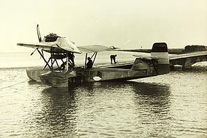 Fokker B.II (1923) httpsuploadwikimediaorgwikipediacommonsthu