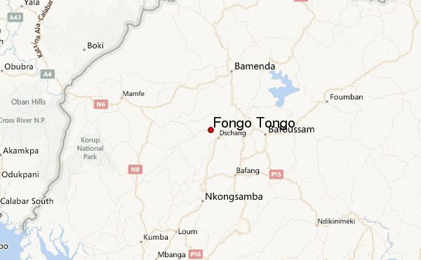 Fongo-Tongo Fongo Tongo Weather Forecast