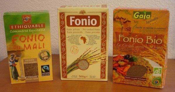 Fonio - Wikipedia