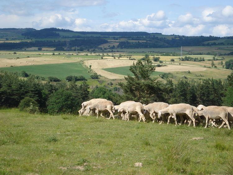 Fontanes, Lozère