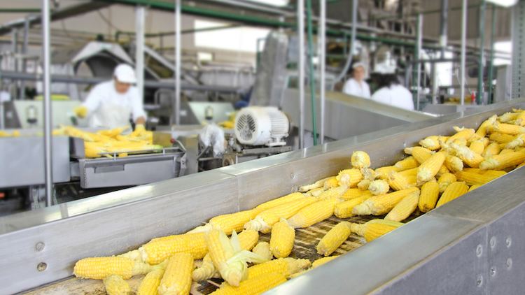 Food processing Dirty Secrets of The Food Processing Industry FOOD MATTERS