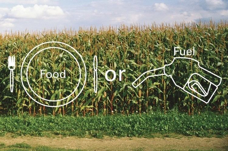 Food vs. fuel bioenergycropscomwpcontentuploads201501food