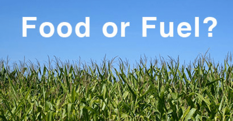 Food vs. fuel Brazil39s Ethanol 39Food Vs Fuel39 or 39Food and Fuel39 Science for