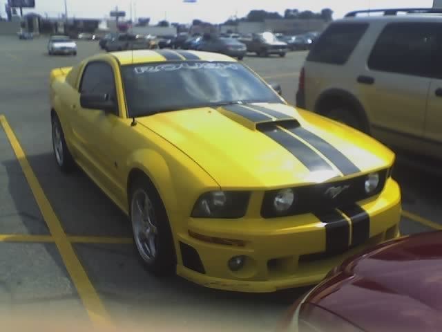 Ford Mustang variants