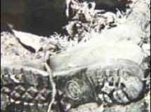 Forensic footwear evidence