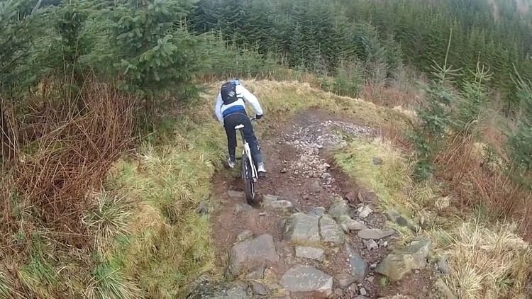 Forest of Ae Forest of Ae Red Route Mountain Biking 3rd Feb YouTube