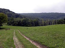 Forest of Argonne httpsuploadwikimediaorgwikipediacommonsthu