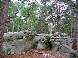 Forest of Fontainebleau httpsuploadwikimediaorgwikipediacommonsthu