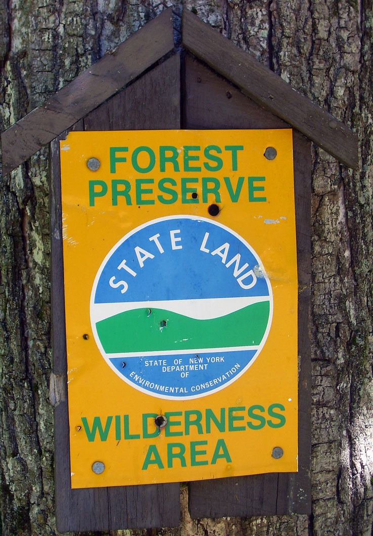 Forest Preserve (New York)