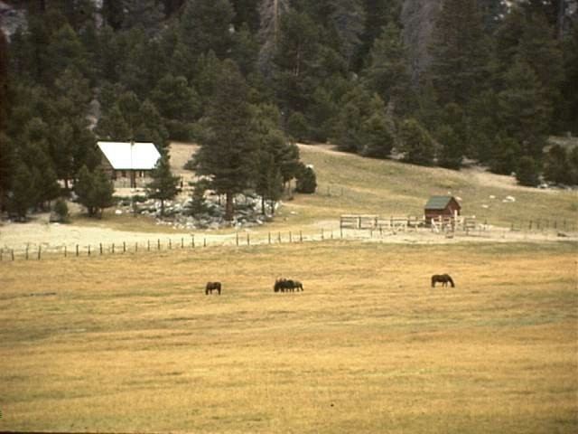 Forest Service Guard Station