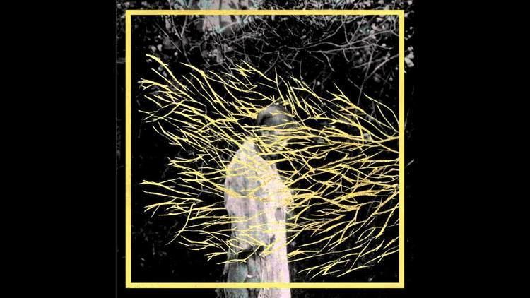 Forest Swords Forest Swords The Weight Of Gold YouTube