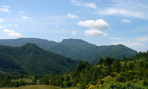 Foreste Casentinesi, Monte Falterona, Campigna National Park