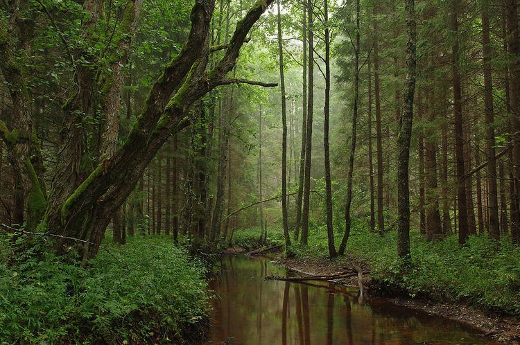 Forestry in Estonia