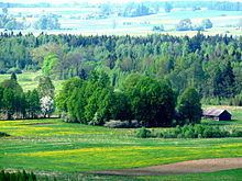 Forests in Lithuania httpsuploadwikimediaorgwikipediacommonsthu