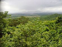 Forests in Odisha httpsuploadwikimediaorgwikipediacommonsthu