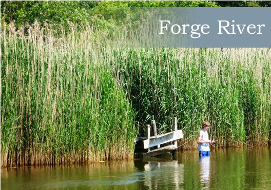 Forge River wwwcameronengineeringcomforgeriverimagesforge