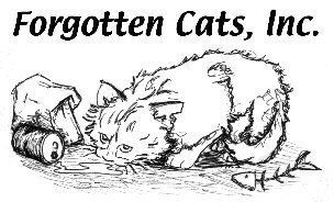 Forgotten Cats httpsgrassrootsgrouponcomfiles2012052620