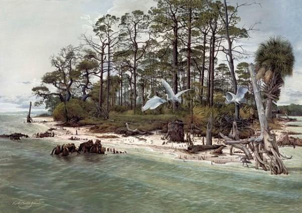 Forgotten Coast 0Florida39s Forgotten Coast Keith Martin Johns Fine Art