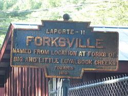 Forksville, Pennsylvania httpsuploadwikimediaorgwikipediacommonsthu