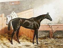 Formosa (horse) httpsuploadwikimediaorgwikipediacommonsthu