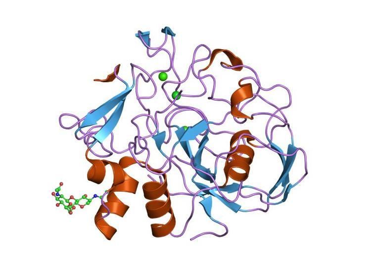 Formylglycine-generating enzyme