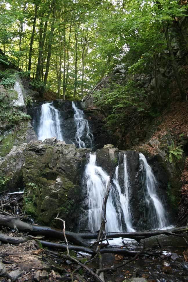 Forsakar Nature Reserve - Alchetron, the free social encyclopedia