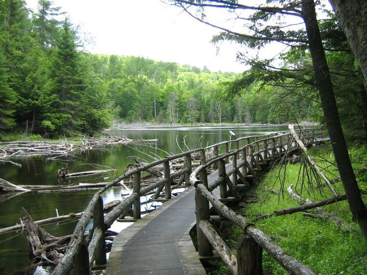 Forêt-la-Blanche Ecological Reserve
