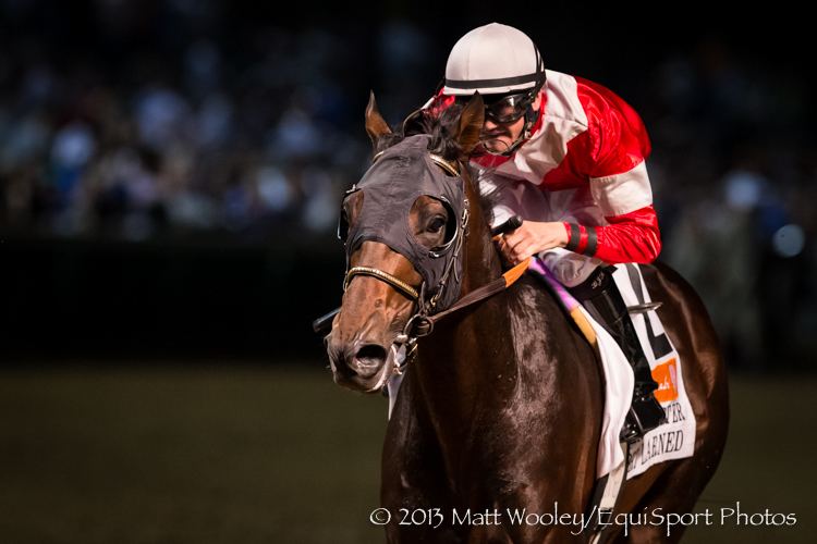 Fort Larned (horse) BC Classic Adena Springs Purchases Fort Larned Horse Racing News