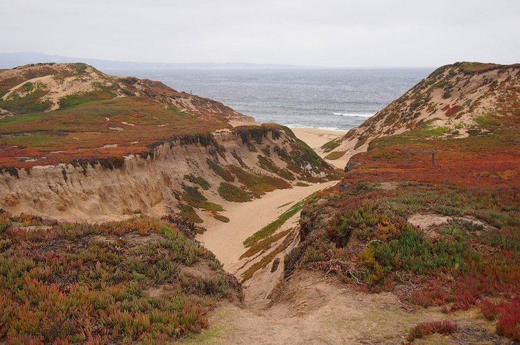 Fort Ord Dunes State Park