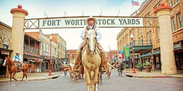 Fort Worth Stockyards Fort Worth Stockyards Adventure Walking Tour amp Cattle