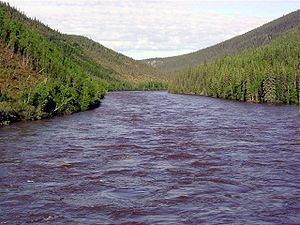 Fortymile River httpsuploadwikimediaorgwikipediacommonsthu