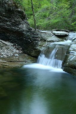Fourmile Creek (Pennsylvania) httpsuploadwikimediaorgwikipediacommonsthu