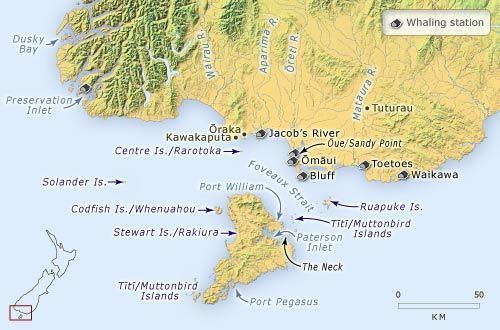 Foveaux Strait Whaling in Foveaux Strait 1820s to 1840s Southland region Te