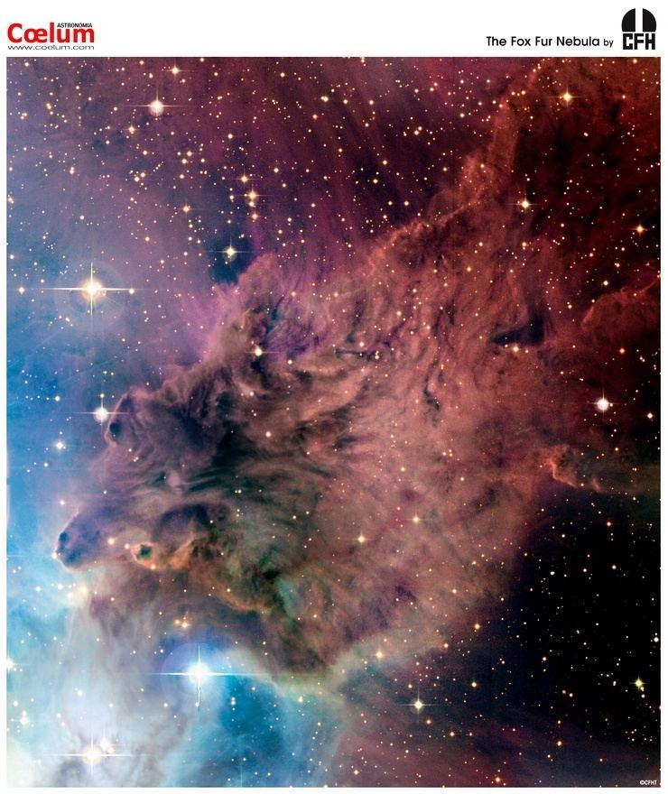 Fox Fur Nebula APOD 2008 April 22 The Fox Fur Nebula from CFHT