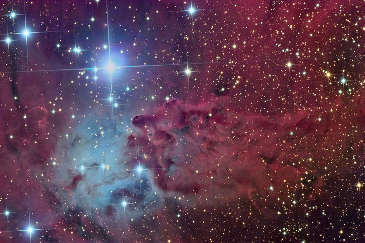 Fox Fur Nebula APOD 2005 March 14 The Fox Fur Nebula