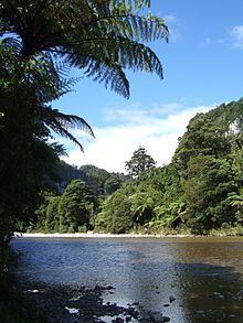 Fox River (Buller) httpsuploadwikimediaorgwikipediacommonsthu
