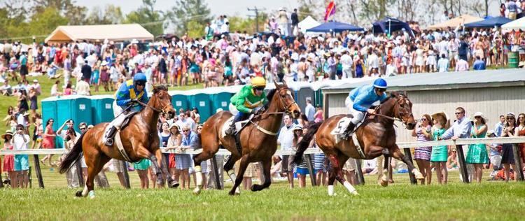 Foxfield Races Foxfield Races THE 40th RUNNING OF THE SPRING RACES WILL BE HELD