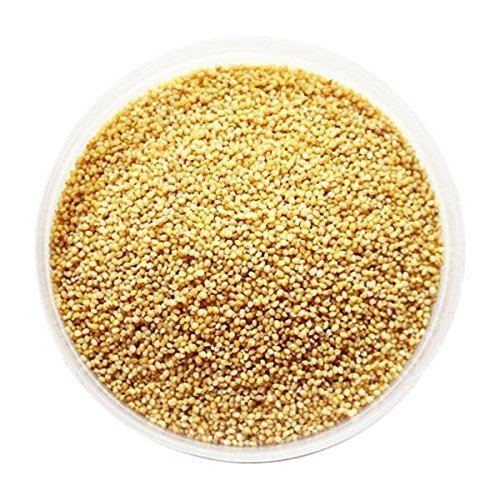 Foxtail millet Amazoncom Foxtail Millet Seeds 500g Grocery amp Gourmet Food