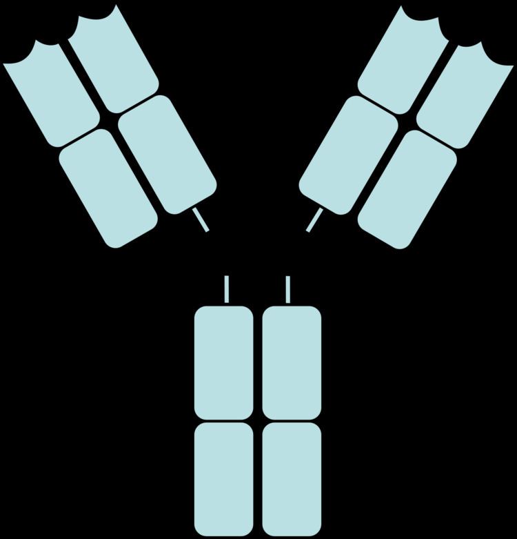 Fragment Antigen Binding Alchetron The Free Social Encyclopedia