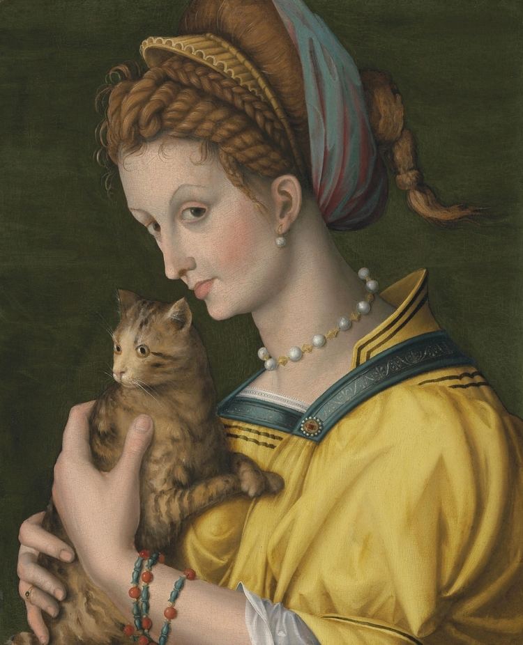 Francesco Bacchiacca FileBacchiacca Portrait of a young lady holding a cat