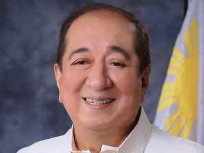 Francis Bichara Albay Gov Al Francis Bichara gets nod as Regional Development