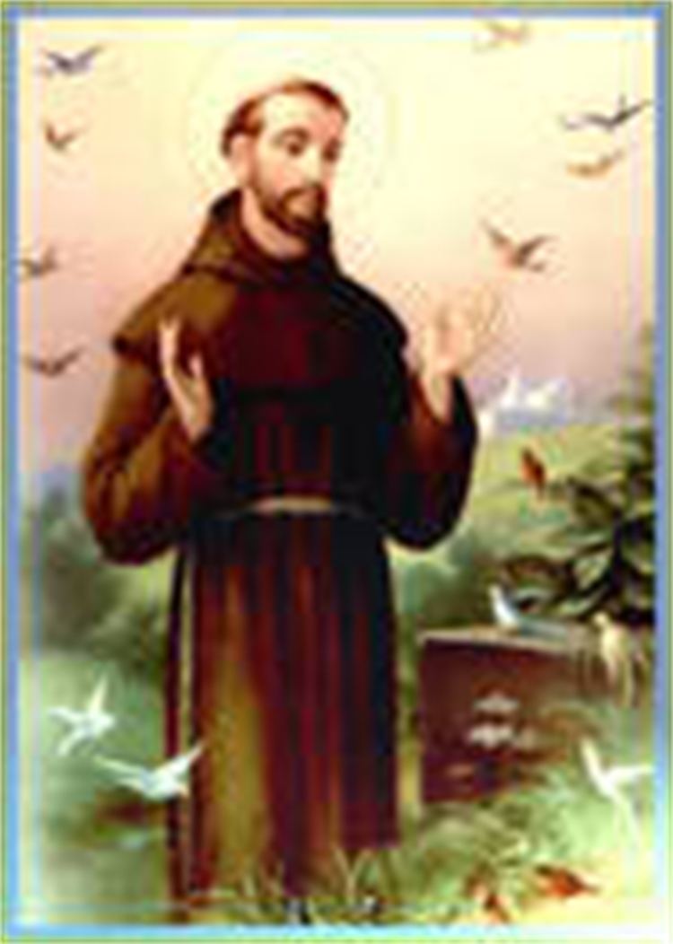 Francis of Assisi Faith In Action Contest St Francis of Assisi