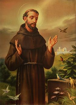 Francis of Assisi wwwsaintfrancisofassisibiographycomSaintFrancis