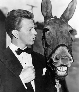 Francis the Talking Mule 1000 images about FRANCIS THE TALKING MULE on Pinterest Donald o