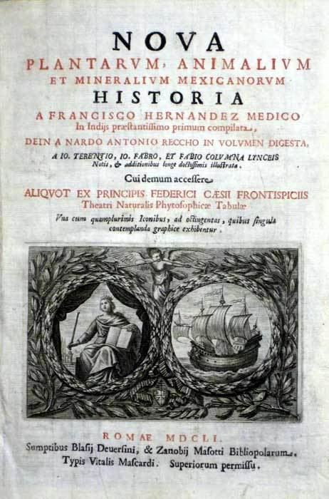 Francisco Hernández de Toledo Francisco Hernandez Botany