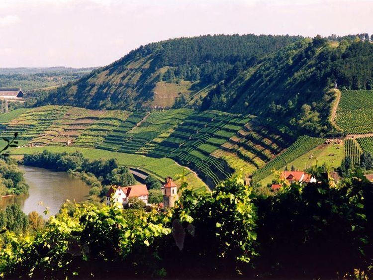 Franconia (wine region) wwwbavariabywwwbayernjpdatamediadbcmspict