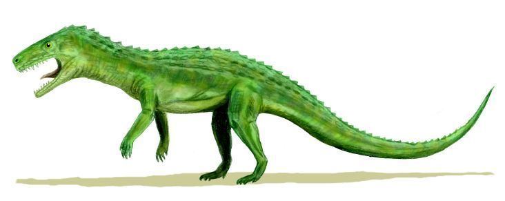 Francosuchus
