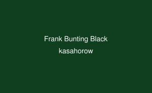 Frank Bunting Black Frank Bunting Black Akan kasahorow
